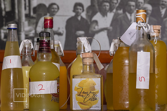 Let's Catch Up - November 2022 - Limoncello Showdown by ©Vidimage ©Joe Mammoliti ©clixbymia ©SnapwithD-0116