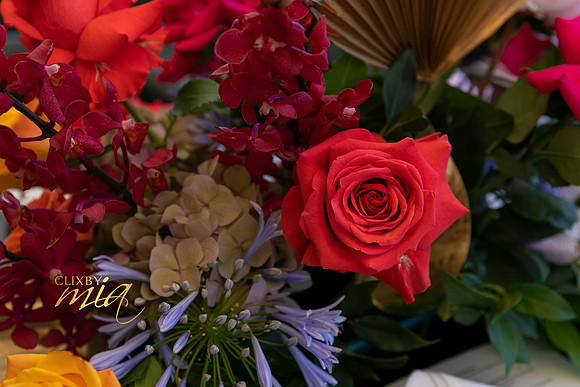 Marilyn's 50th by ©clixbymia ©SnapwithD ©Vidimage @Mia & Demi Mammoliti - 010