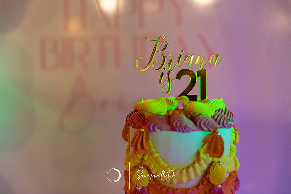 Briana's 21st by ©SnapwithD ©Demi Mammoliti_0072
