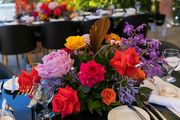 Marilyn's 50th by ©clixbymia ©SnapwithD ©Vidimage @Mia & Demi Mammoliti - 012