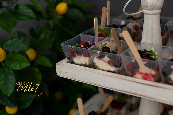 Emily's Bridal Shower by ©clixbymia ©Mia Mammoliti - 150