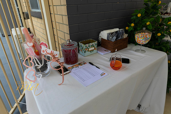 Emily's Bridal Shower by ©clixbymia ©Mia Mammoliti - 151