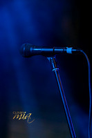 WEMA - The Big Gig 2021 by ©clixbymia ©Mia Mammoliti - 401