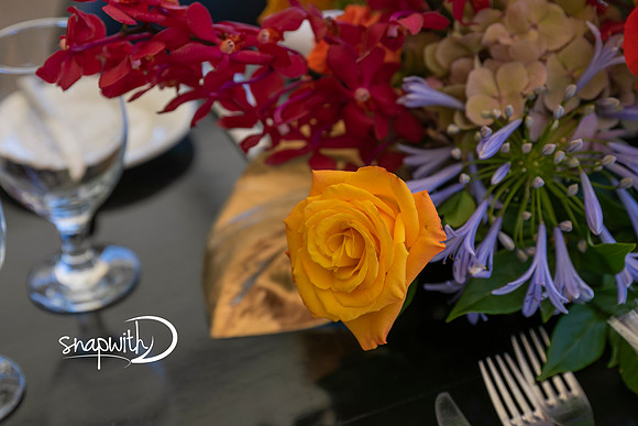 Marilyn's 50th by ©clixbymia ©SnapwithD ©Vidimage @Mia & Demi Mammoliti - 027