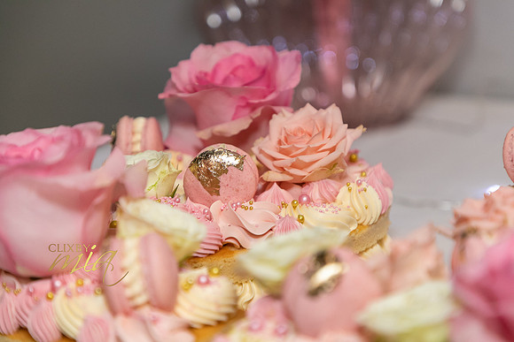 Larissa's 21st by ©clixbymia ©Mia Mammoliti-0077